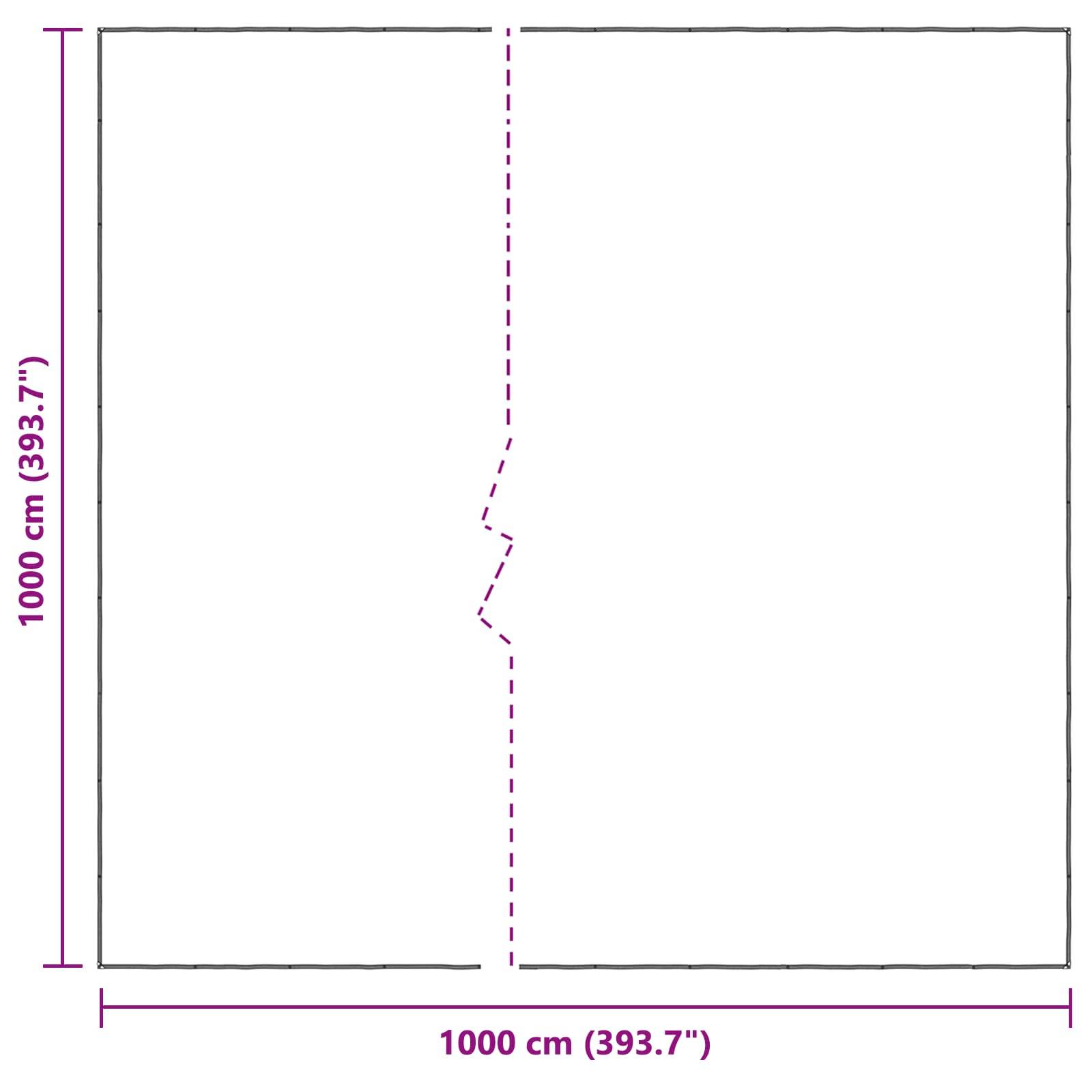 vidaXL Pflanzenabdeckung Transparent 10 x 10 m PE