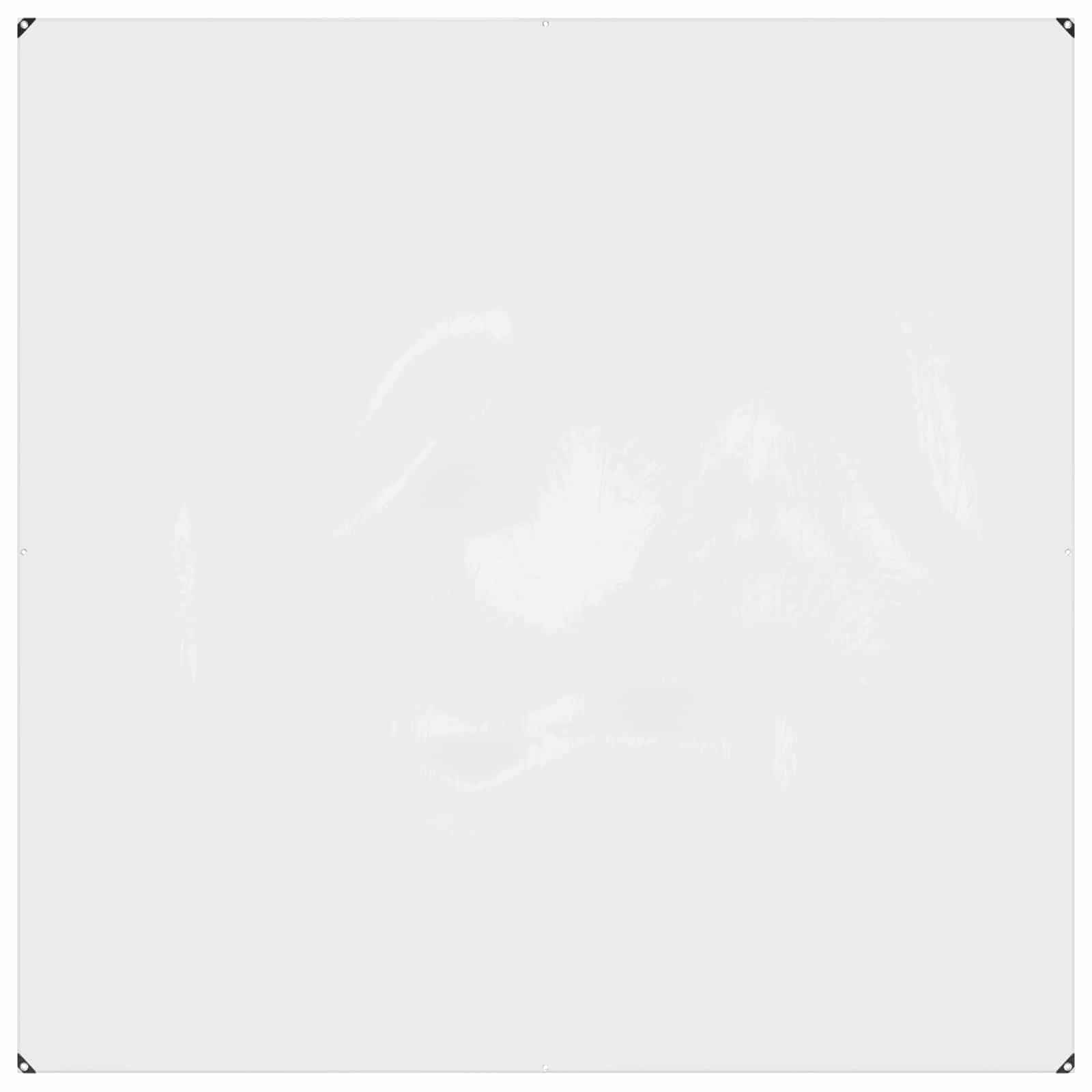 vidaXL Plane mit Ösen Transparent 2 x 2 m Polyethylen