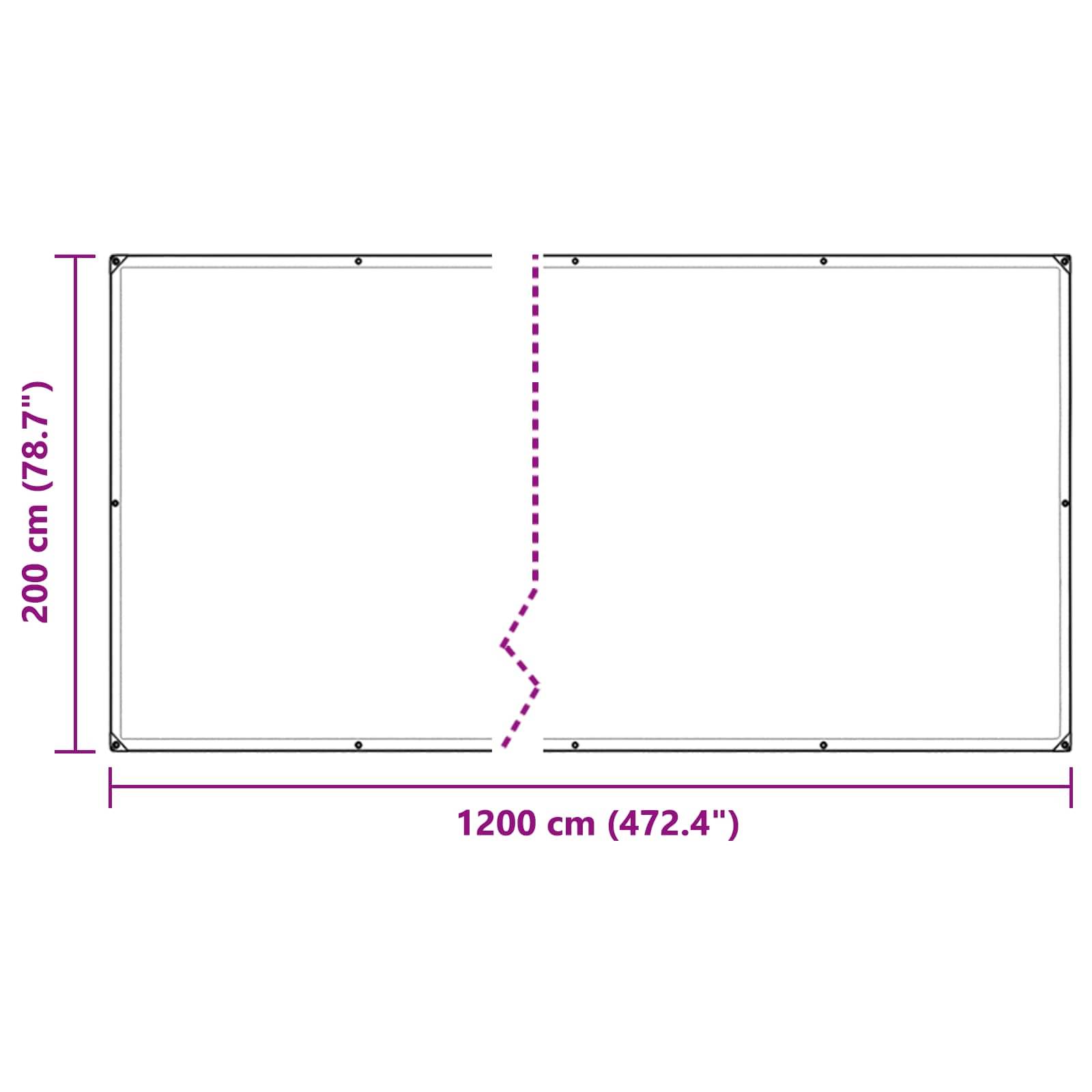 vidaXL Plane Transparent 2 x 12 m PVC