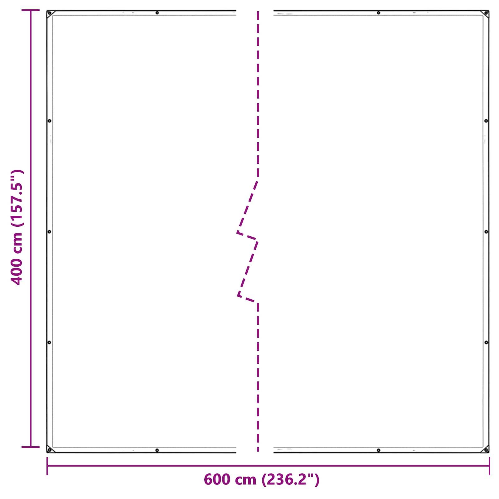 vidaXL Plane Transparent 4 x 6 m PVC