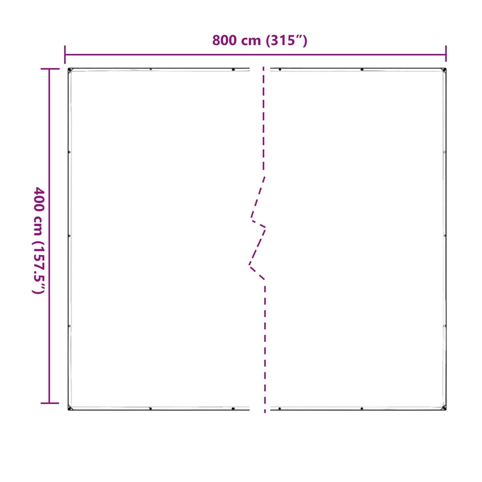 vidaXL Plane Transparent 4 x 8 m PVC