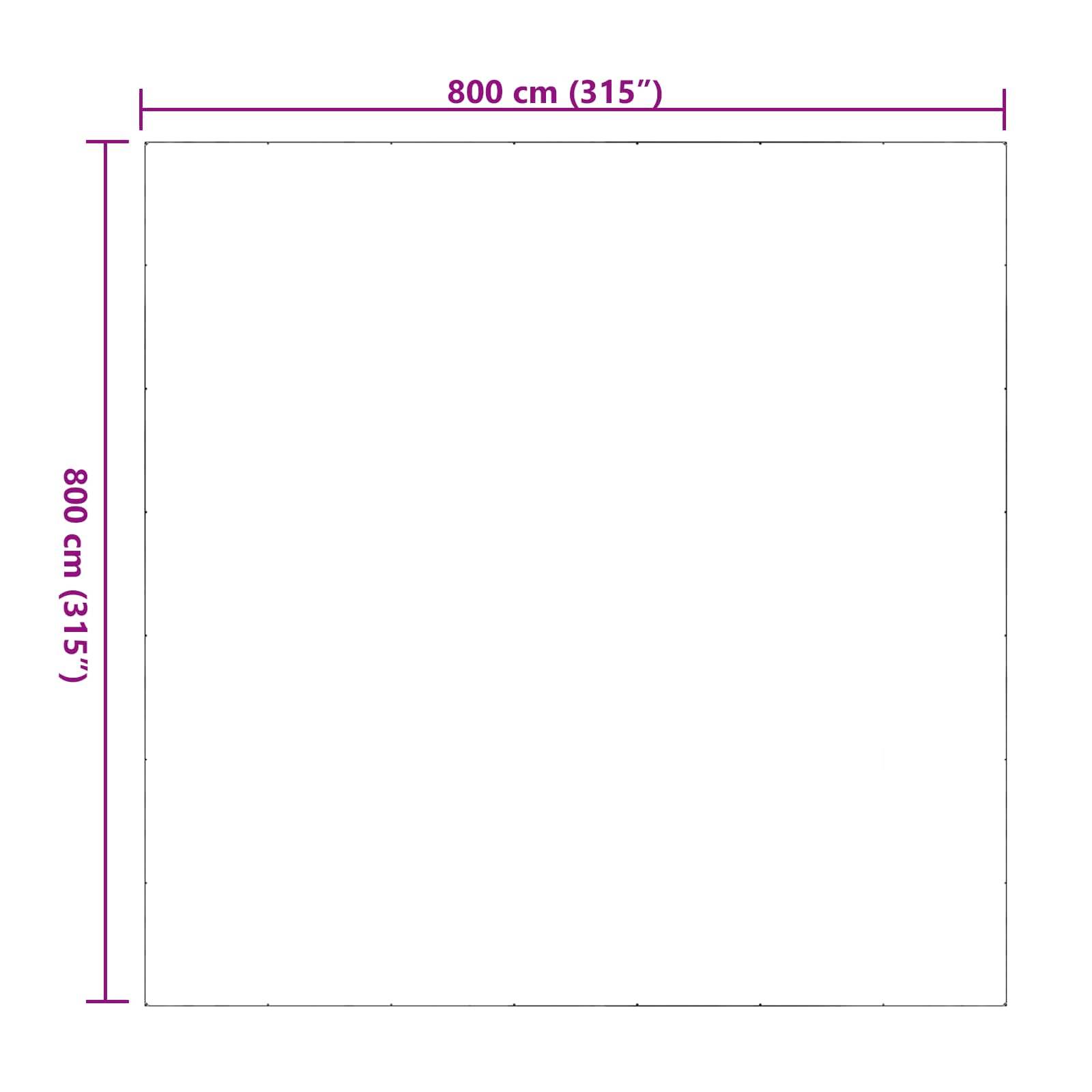 vidaXL Plane Transparent 8 x 8 m PVC