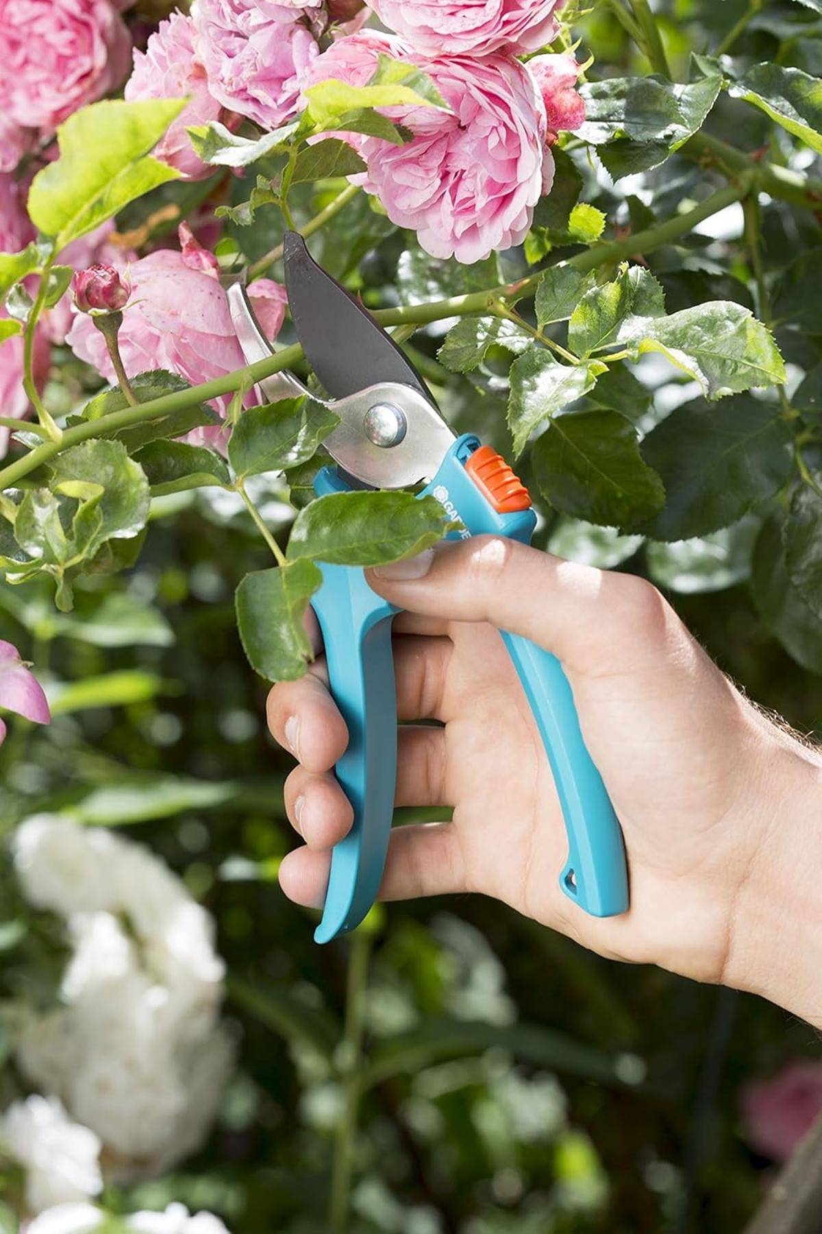 Gardena Classic Gartenschere Aktion: Baumschere mit Bypass-Schneide 8754-30