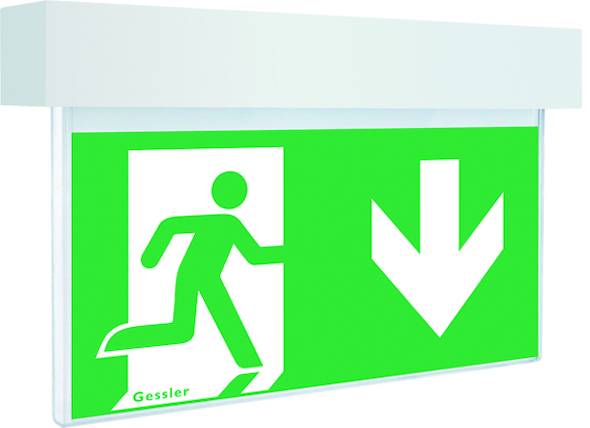 Vision LED Einzelbatterieleuchte