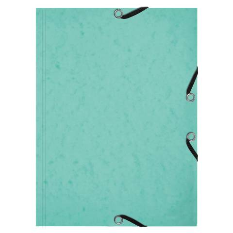 Exacompta 10x Karteikarten-Set Sammelmappe 3 Klappen Pastellgrün 555663E