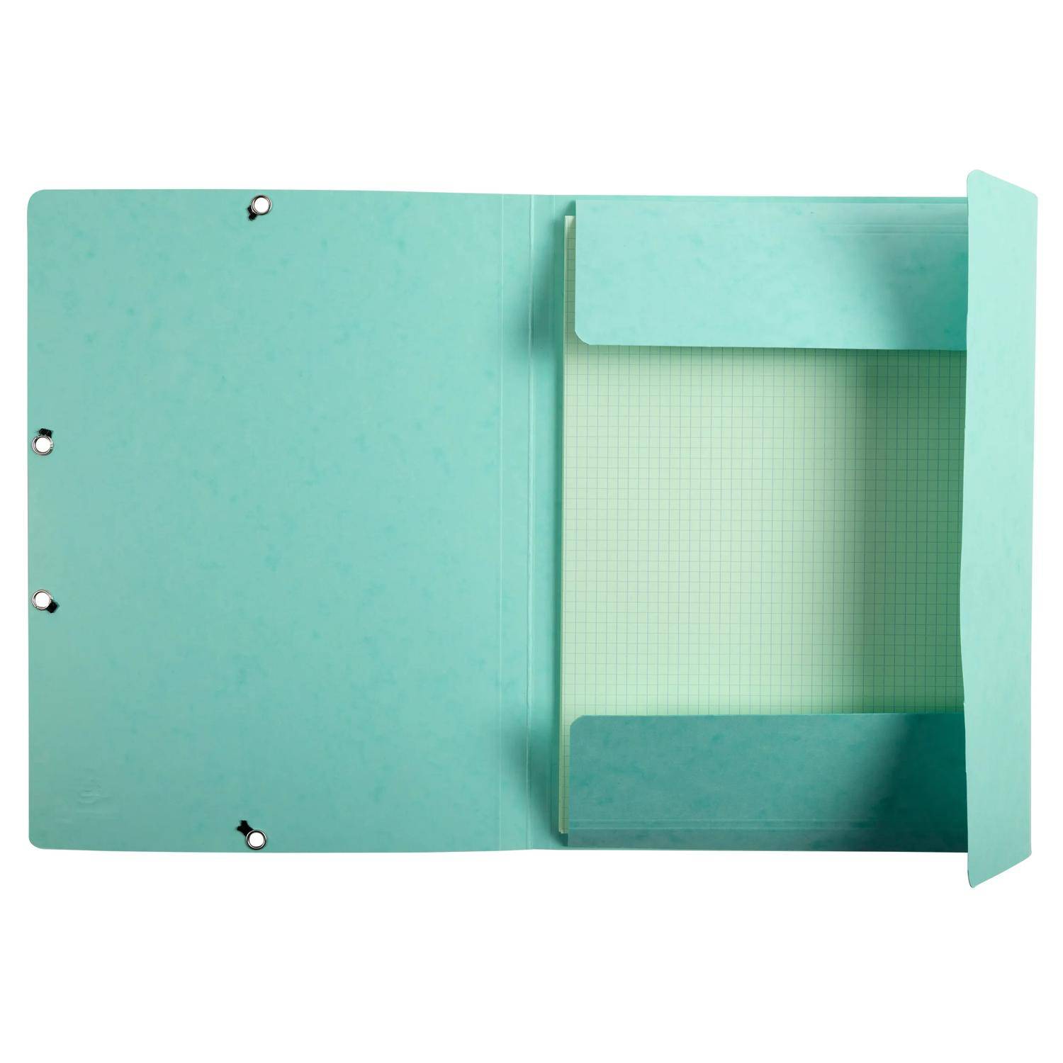 Exacompta 10x Karteikarten-Set Sammelmappe 3 Klappen Pastellgrün 555663E