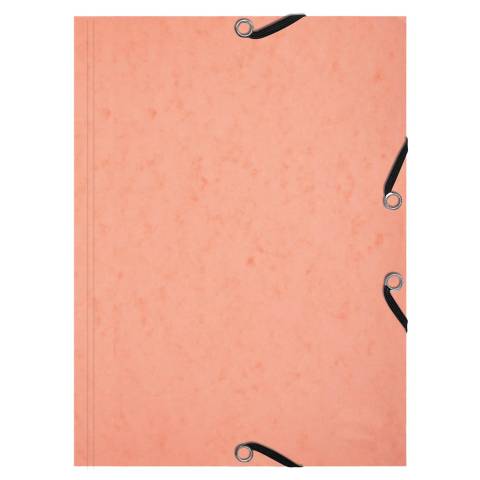 Exacompta 10x Karteikarten-Set Sammelmappe 3 Klappen Korallenrot 555667E