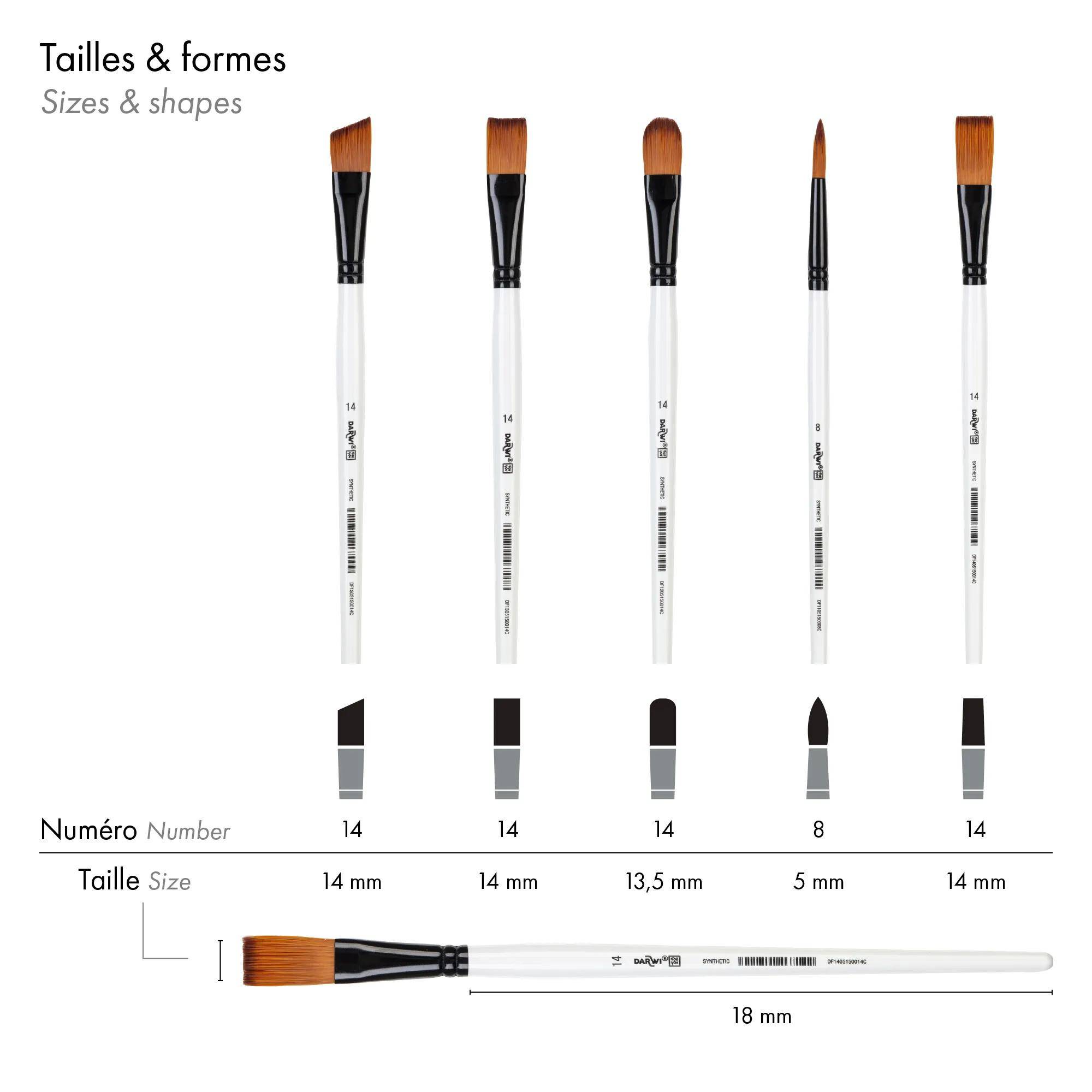 Darwi 12x DFY Set mit 5 mittleren Pinseln 3 DF1905150K06C