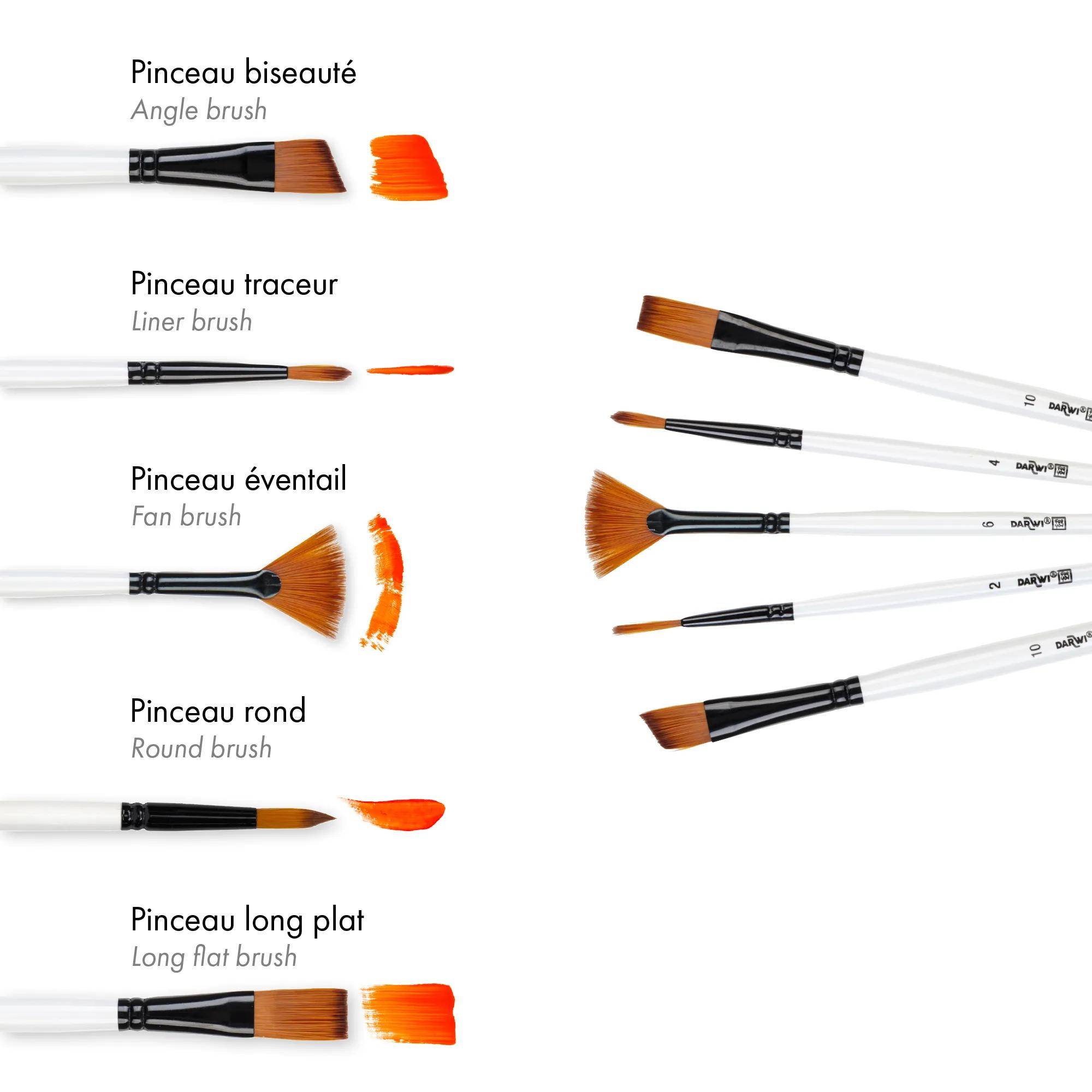 Darwi 12x DFY Set mit 5 mittleren Pinseln 2 DF1905150K05C