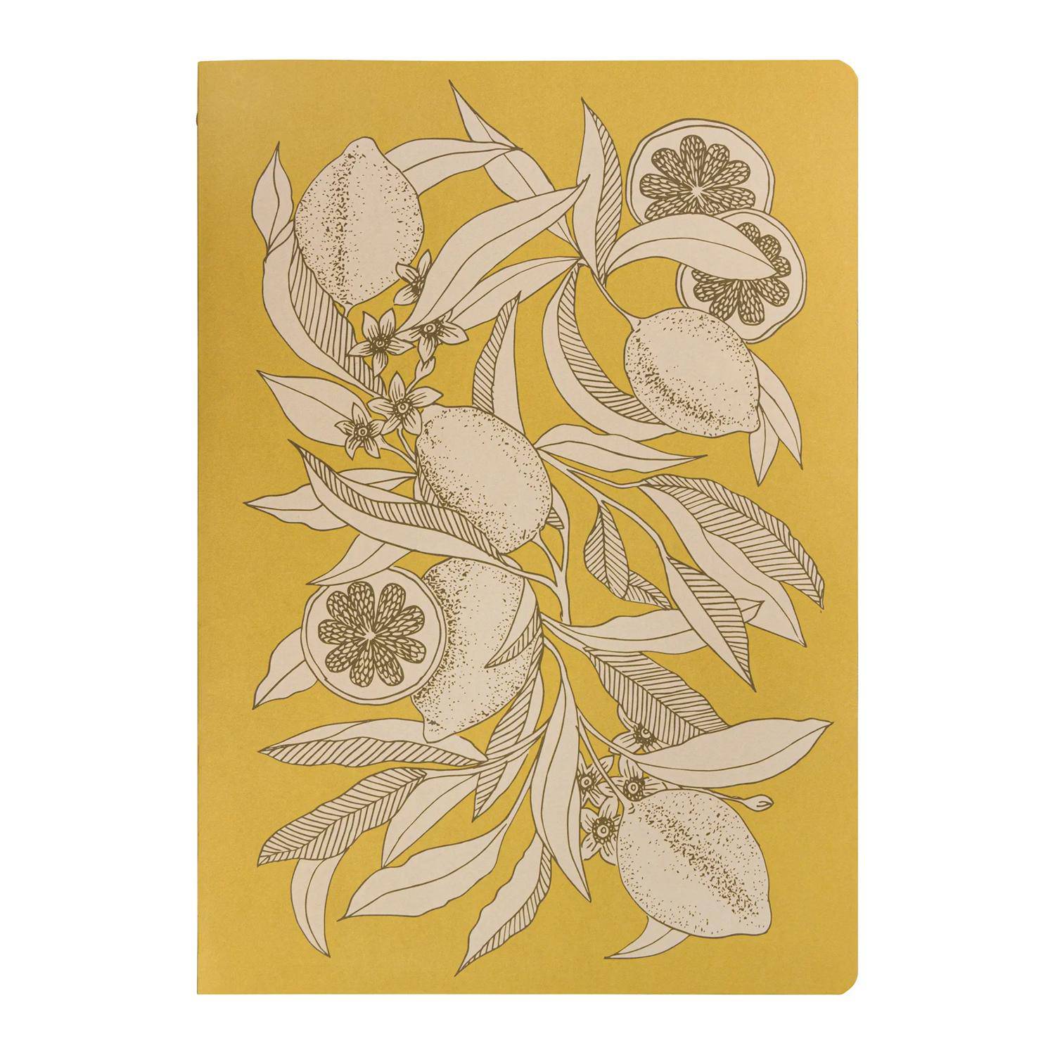 Clairefontaine 10x Notizheft A4 21 x 29,7 cm, 48 Bl 90g liniert sortiert 116341C