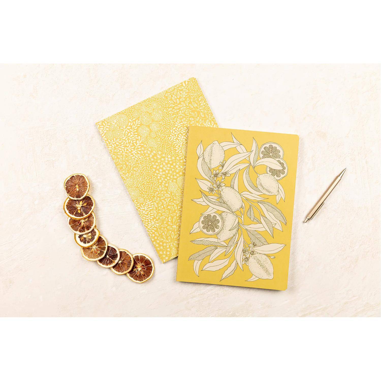 Clairefontaine 10x Notizheft A4 21 x 29,7 cm, 48 Bl 90g liniert sortiert 116341C