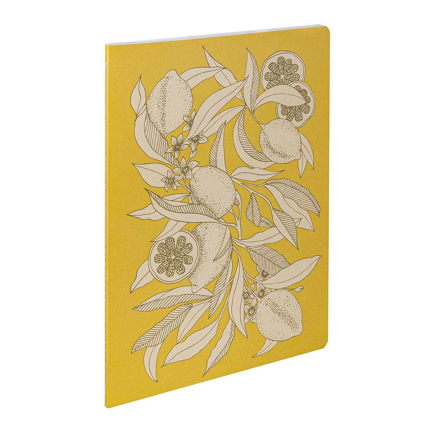 Clairefontaine 10x Notizheft A4 21 x 29,7 cm, 48 Bl 90g liniert sortiert 116341C