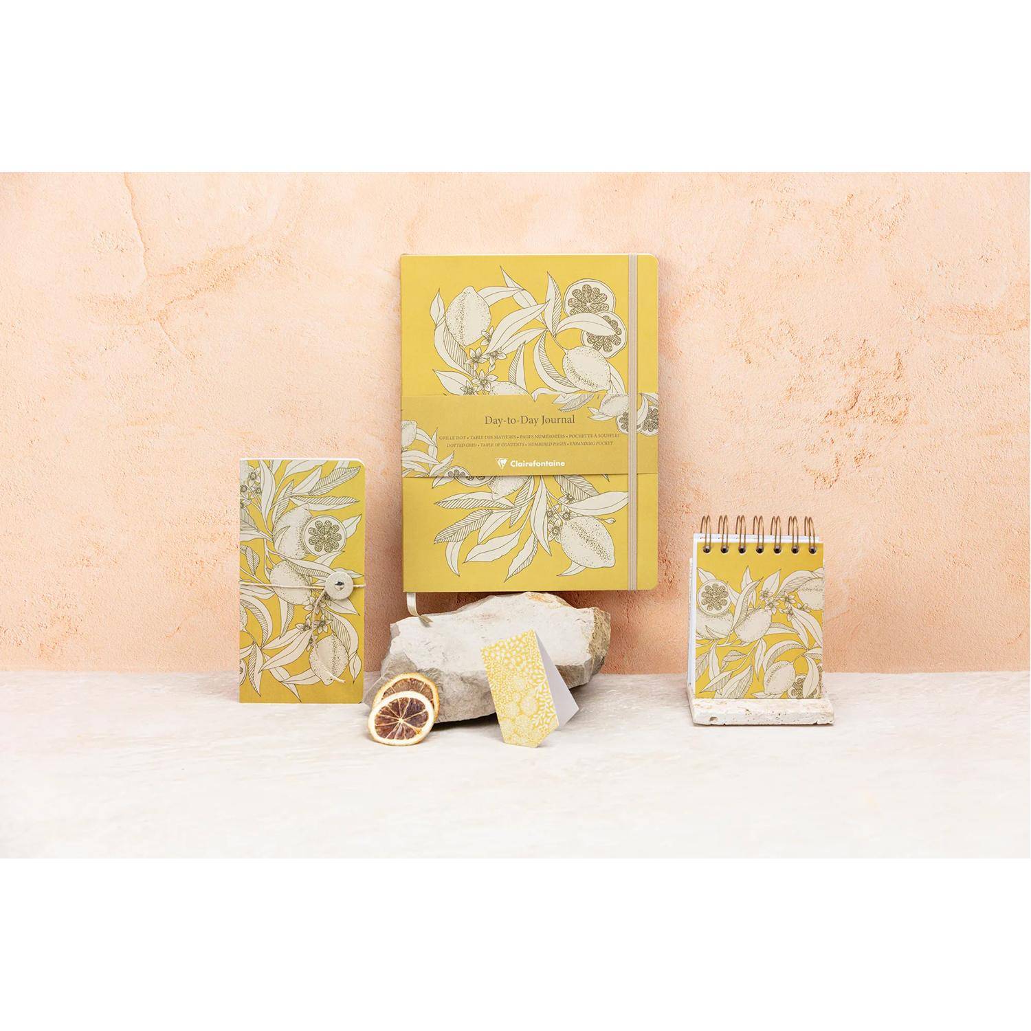 Clairefontaine 4x Journal 19x25 cm, 96 Bl dot, Falttasche, sortiert 116342C