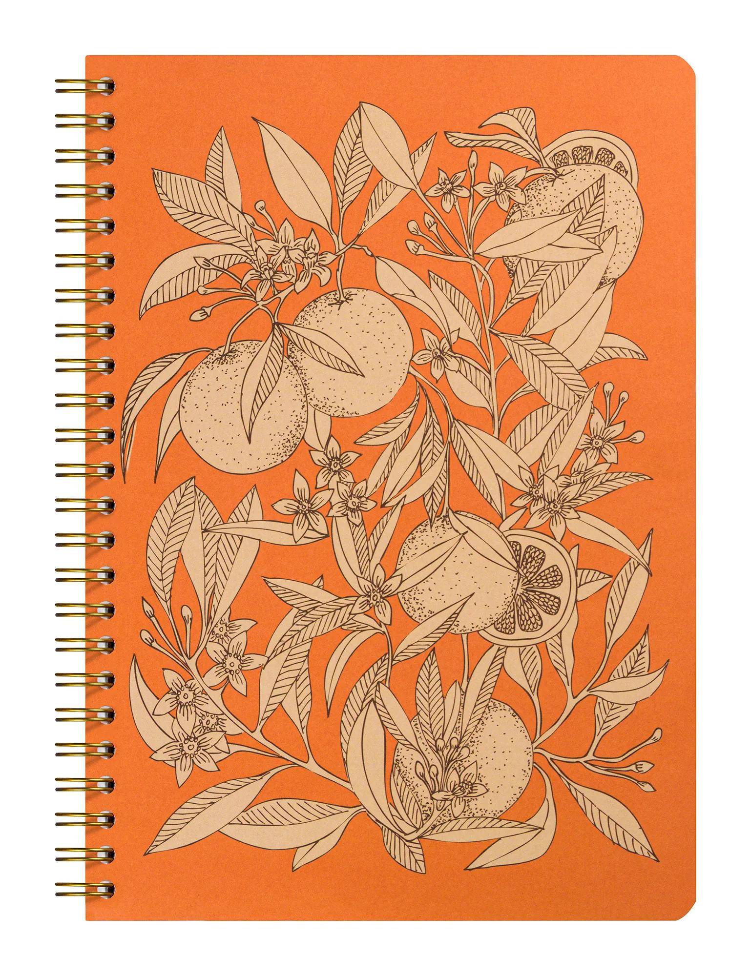 Clairefontaine 4x Notizbuch, A5 14,8x21cm, 74 Bl liniert 90g, sortiert 116339C
