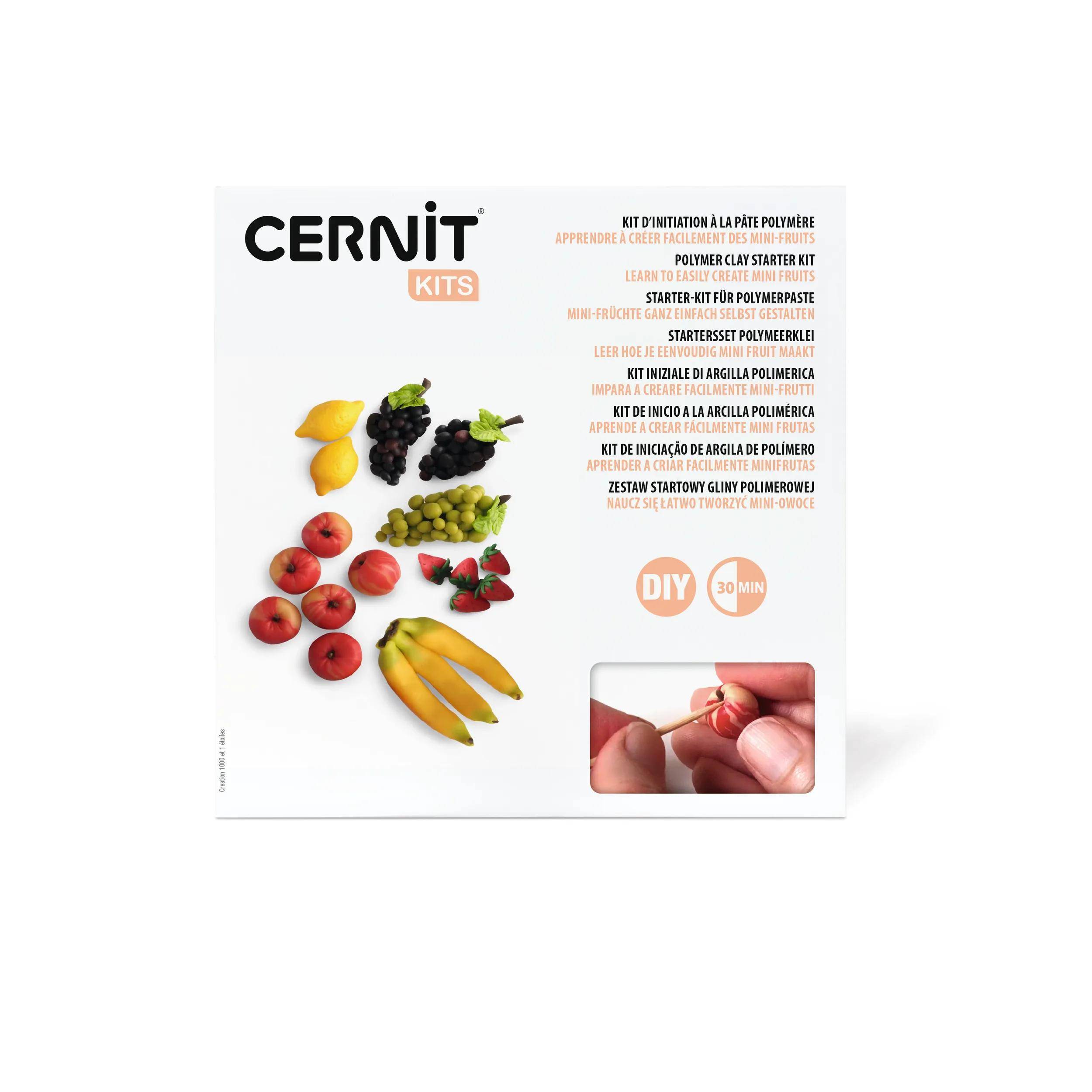 Cernit Starter-Set, Miniaturfruechte CEKIT005C