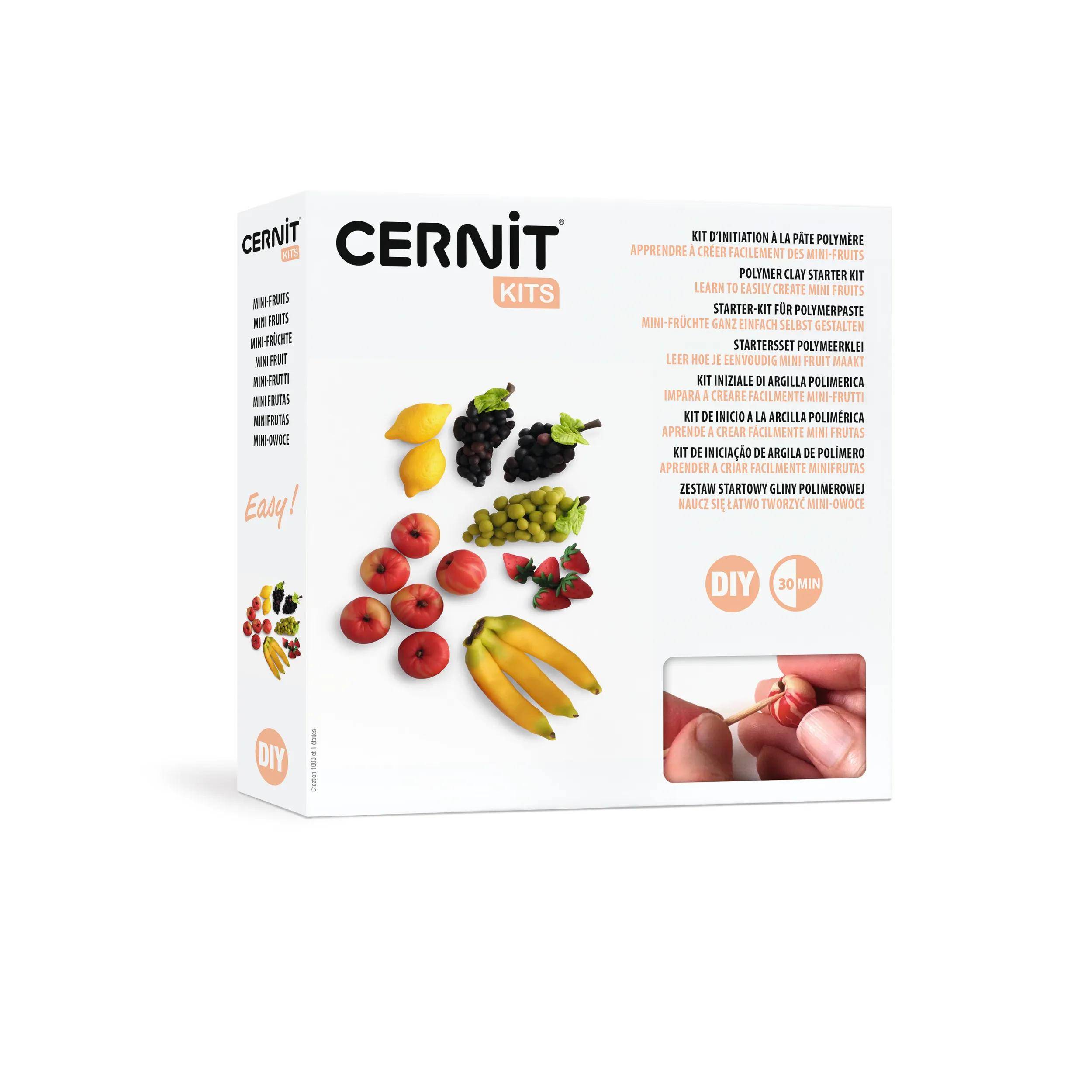 Cernit Starter-Set, Miniaturfruechte CEKIT005C