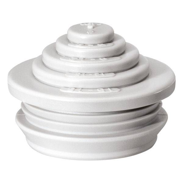 SNI M25 Stufennippel