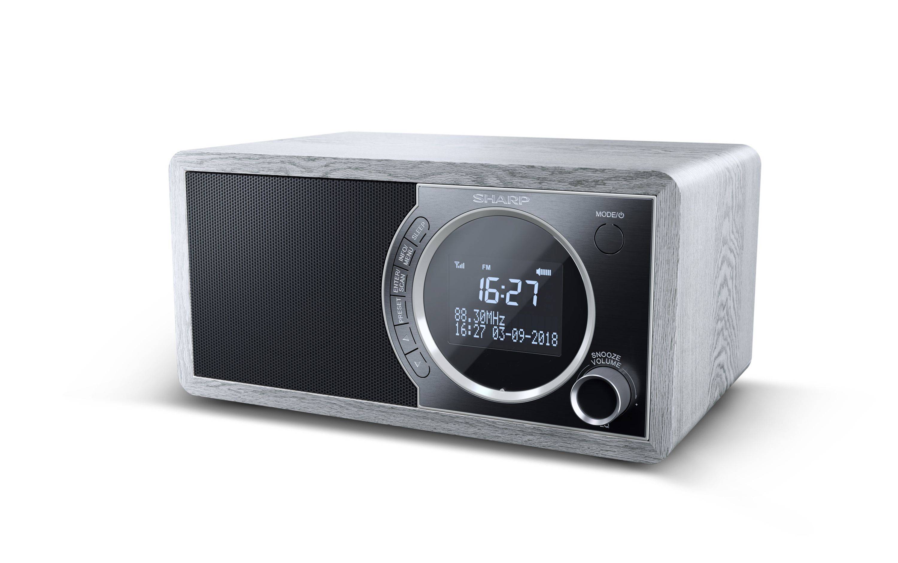 SHARP DR-450(GR) - Digitales Radio (Mono, Grau)