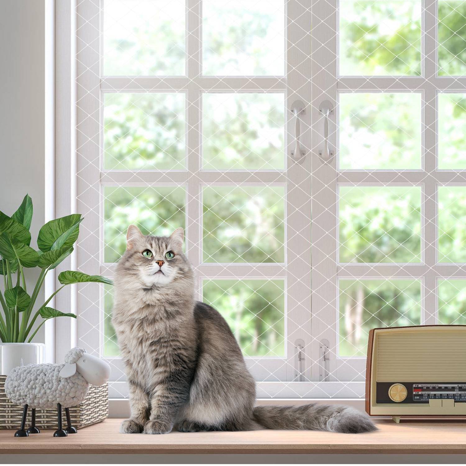 Katzennetz Balkon 8x3m UV-beständig wetterfest transparent, reißfestes Schutznetz für Katzen ohne Bohren