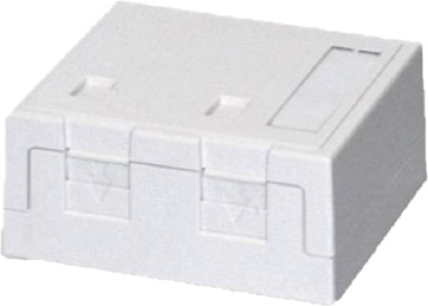 418037 AP Anschlussdose 2x m.Staubs. rw