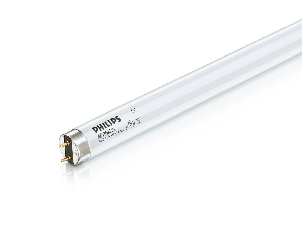 Signify PHILActinic BL TL-DK/10 1SL/25Specialties & Others Actinic