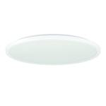 901473 LED Deckenleuchte Connect-Z ws.50