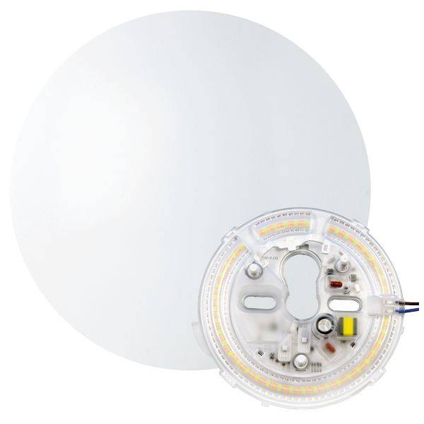 MM77161 MEGAMAN RENZO XChange 330mm 10W-