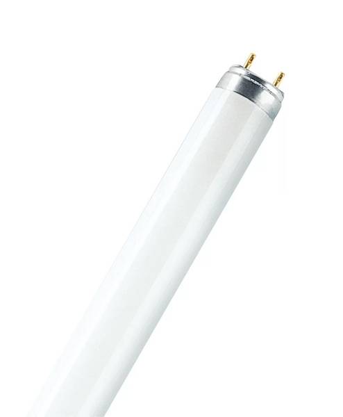 L 38W/840 LEUCHTSTOFFLAMPE 38W WEIß