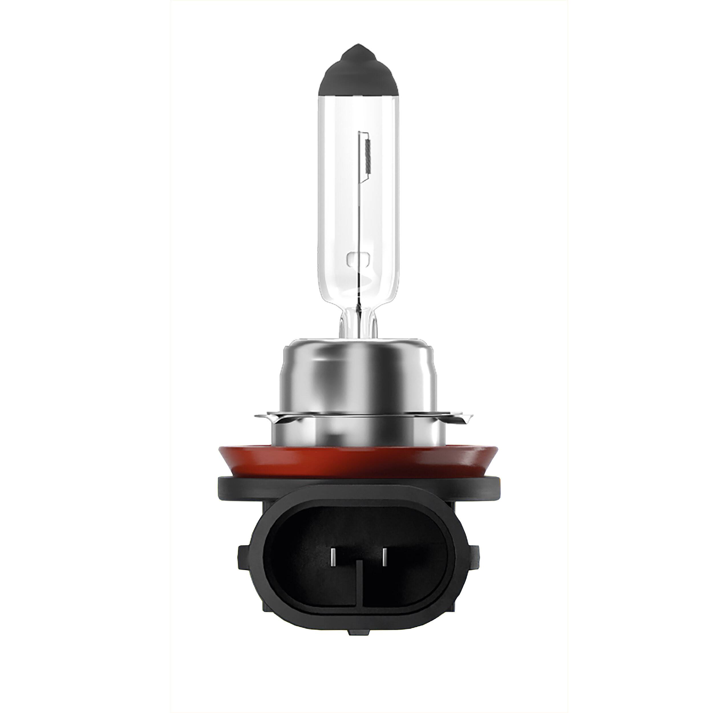 alca® H11 Halogen Lampe Auto I PGJ19-2 I 12V 55W Halogen Scheinwerfer I 3250 K I Scheinwerferlampe Glühbirne I KFZ