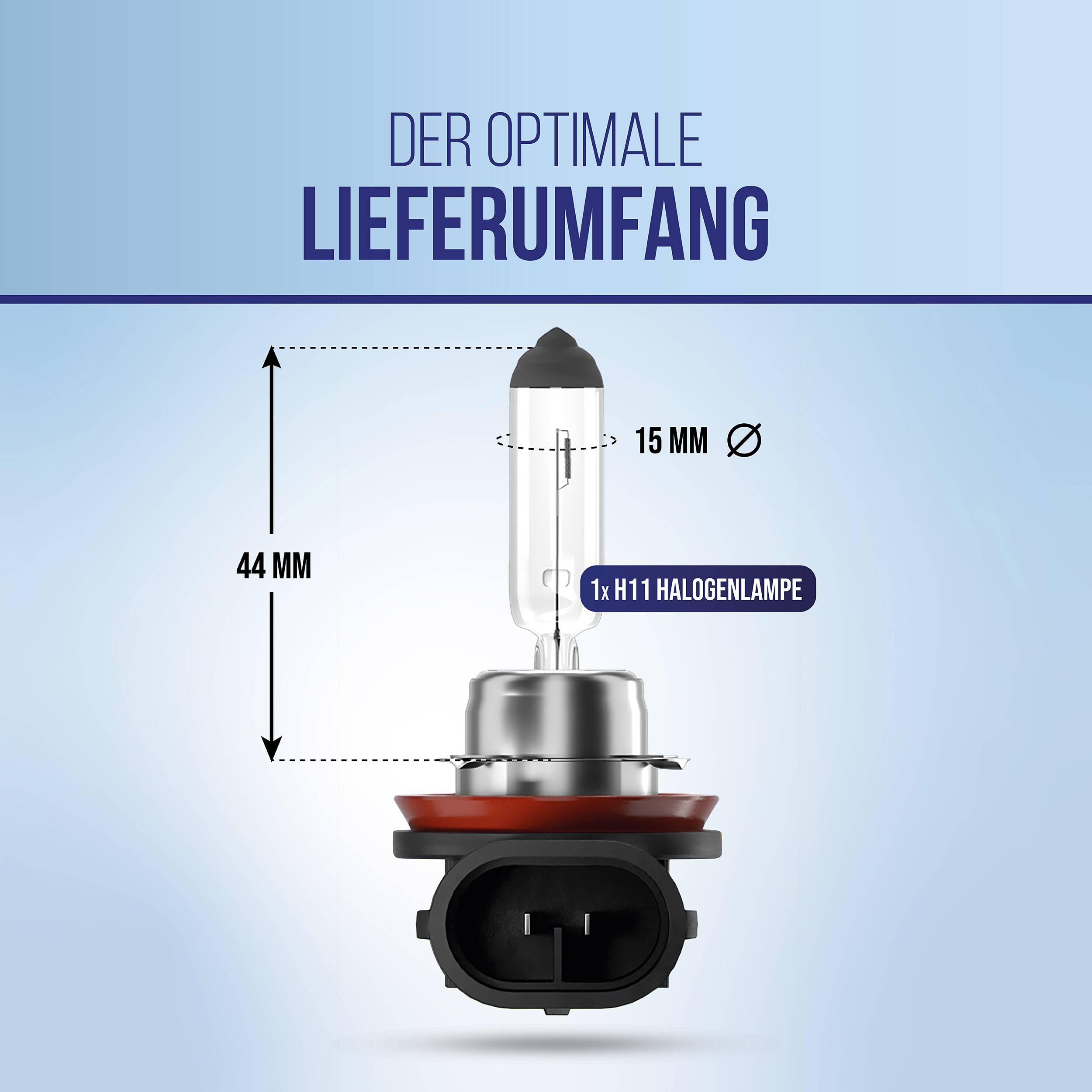 Diagramm mit dem optimalen Paketinhalt: 1x H11-Halogenlampe mit 15 mm Durchmesser und 44 mm Höhe.