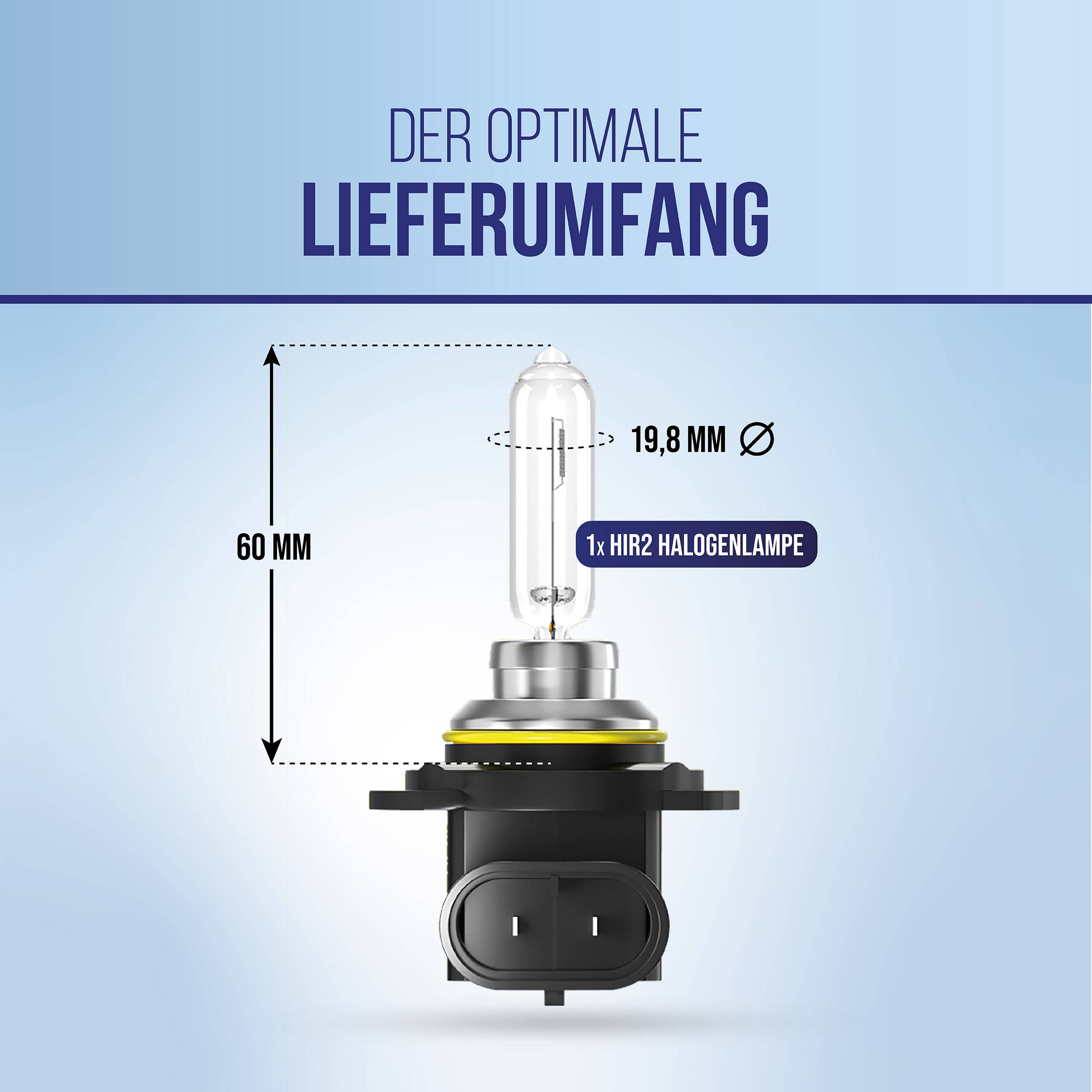 alca® HIR2 Halogen Lampe Auto I Px26d I 12V 55W Halogen Scheinwerfer Lampe I Scheinwerferlampe I E-Prüfzeichen I