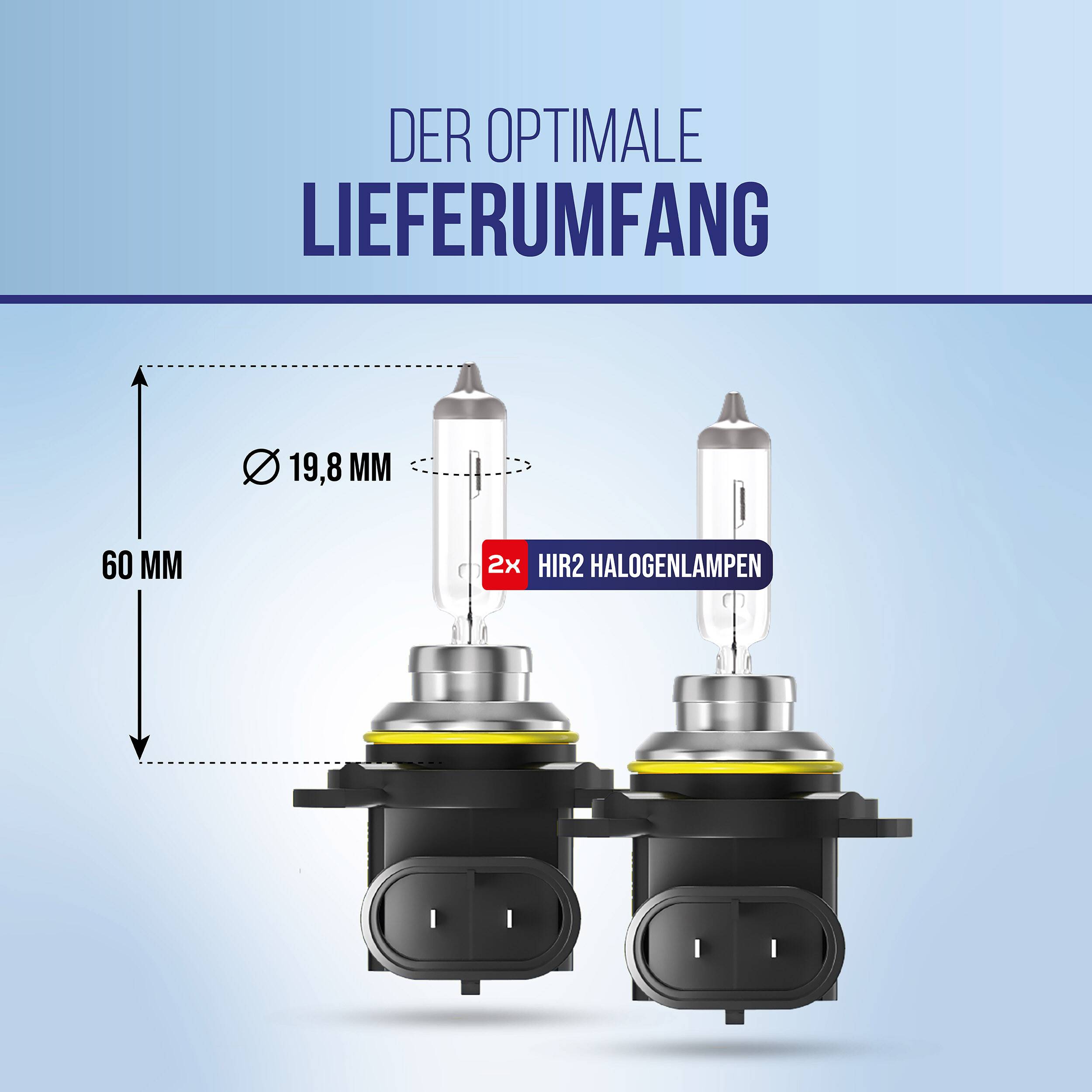Infografik zeigt den optimalen Paketinhalt: 2 HIR2-Halogenlampen, jeweils 60 mm hoch und 19,8 mm breit.