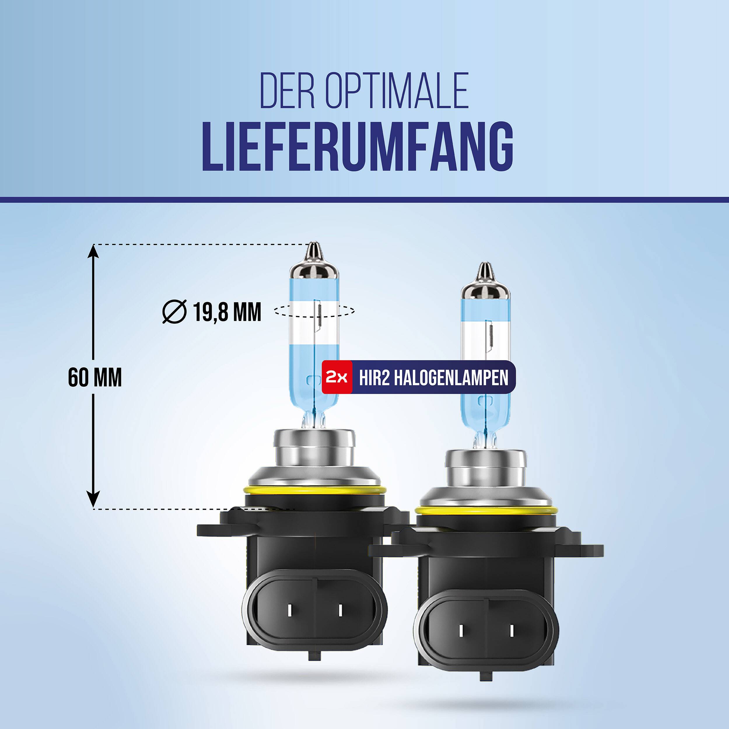 Infografik, die den optimalen Lieferumfang zeigt: 2 HIR2-Halogenilampen, jeweils 60 mm hoch und 19,8 mm Durchmesser.