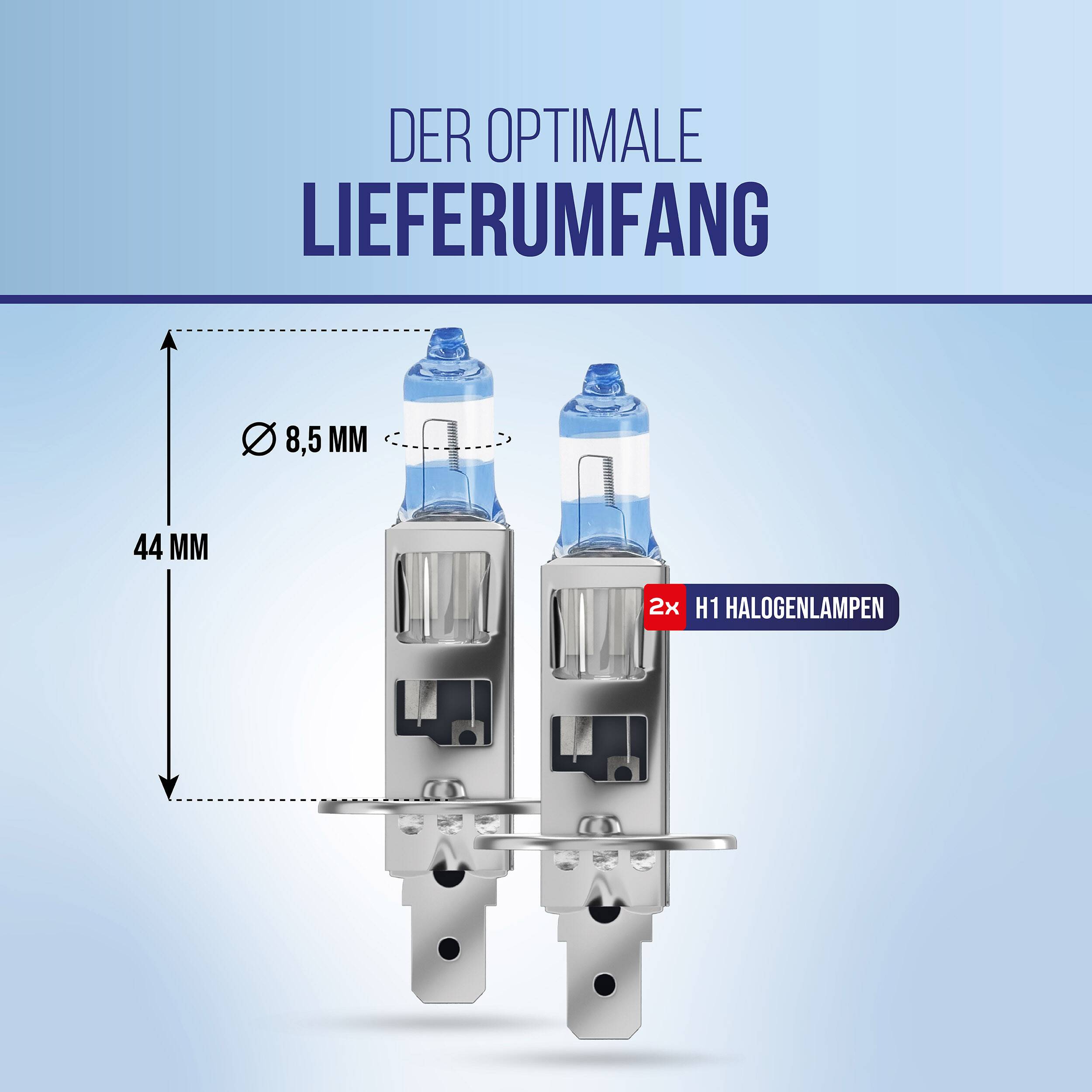 alca® 2 Stück H1 Halogen Lampe Auto I P14.5s I 12V 55W Halogen Scheinwerfer Lampe I +200% mehr Helligkeit I Weißes Licht