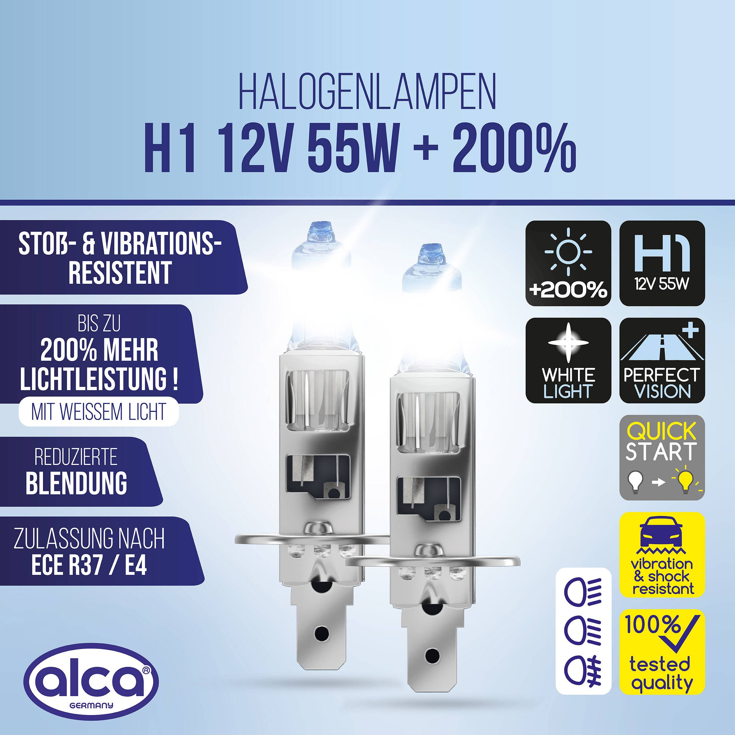 „Halogenlampen H1 12V 55W +200%