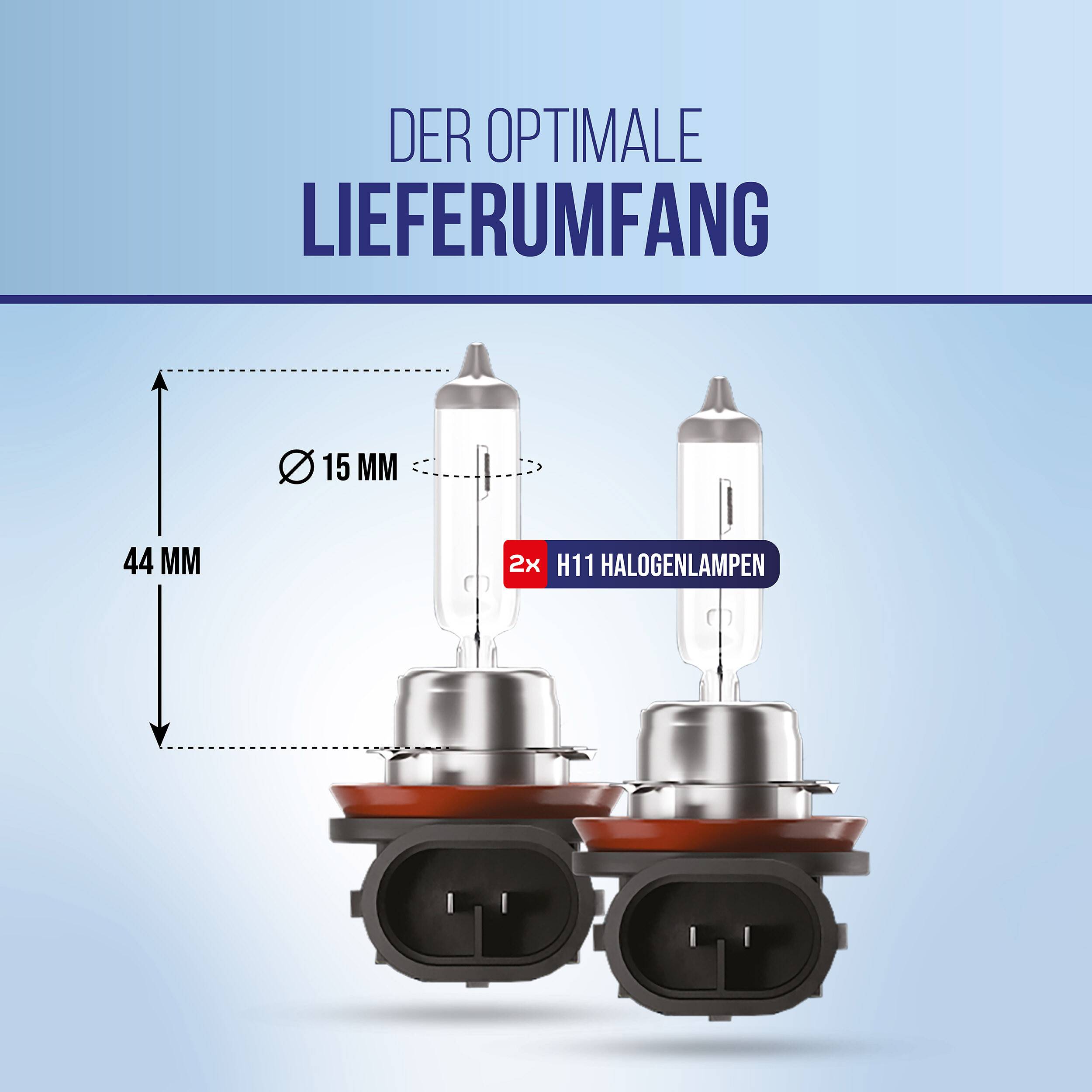 Grafik zeigt das optimale Lieferpaket: 2 H11-Halogenlampen, jeweils 44 mm hoch und 15 mm breit.