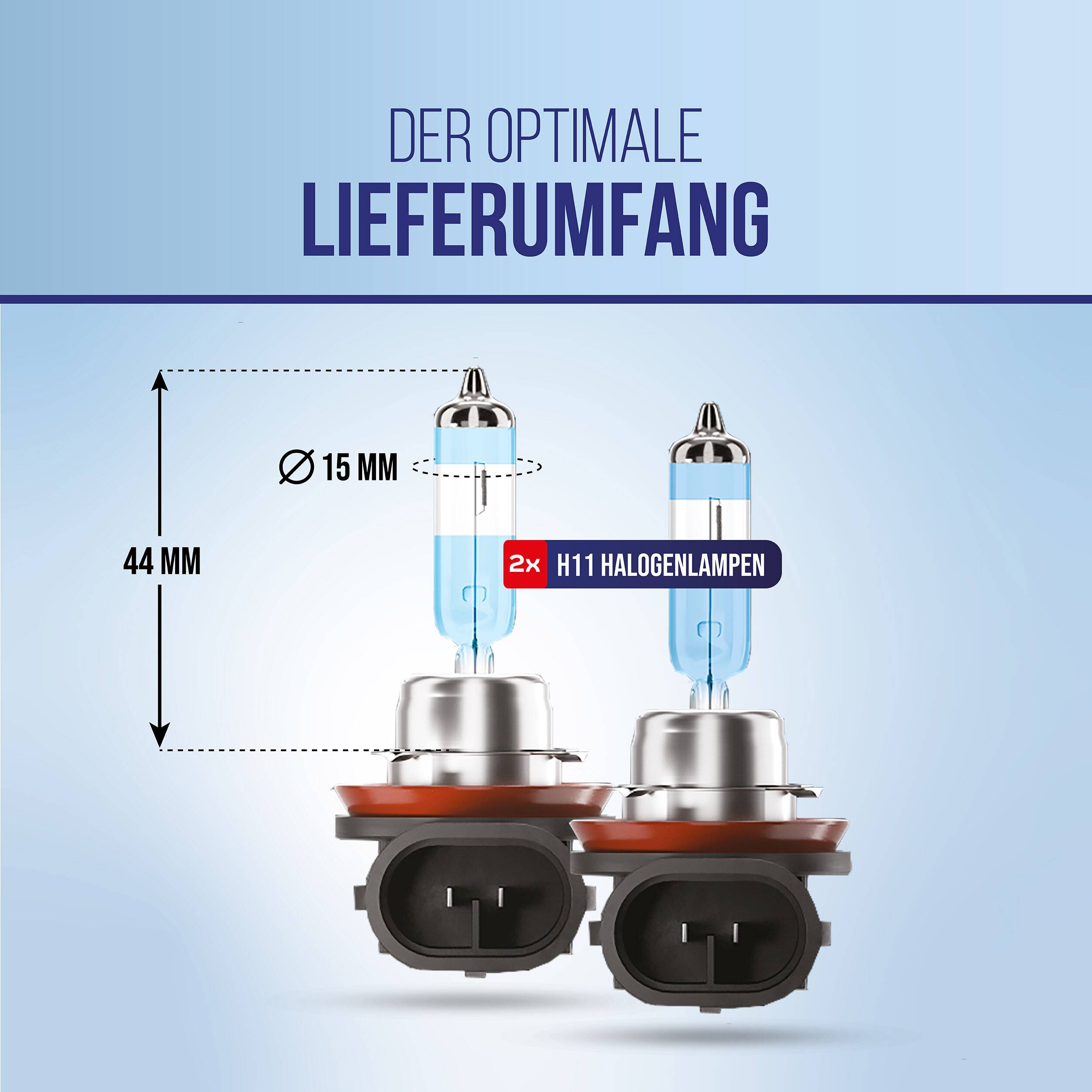 alca® 2 Stück H11 Halogen Lampe Auto I PGJ19-2 I 12V 55W Halogen Scheinwerfer Lampe I +200% mehr Helligkeit I