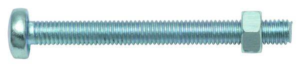 PSGSK 4x10 Gewindeschraube ink. Mutter