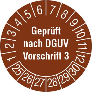 PPPPDGUVV32025 Geprüft nach DGUV V3
