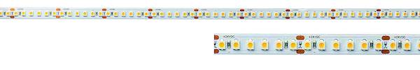 PLEDSWW LED-Stripe 24V-3000K-5m 65W