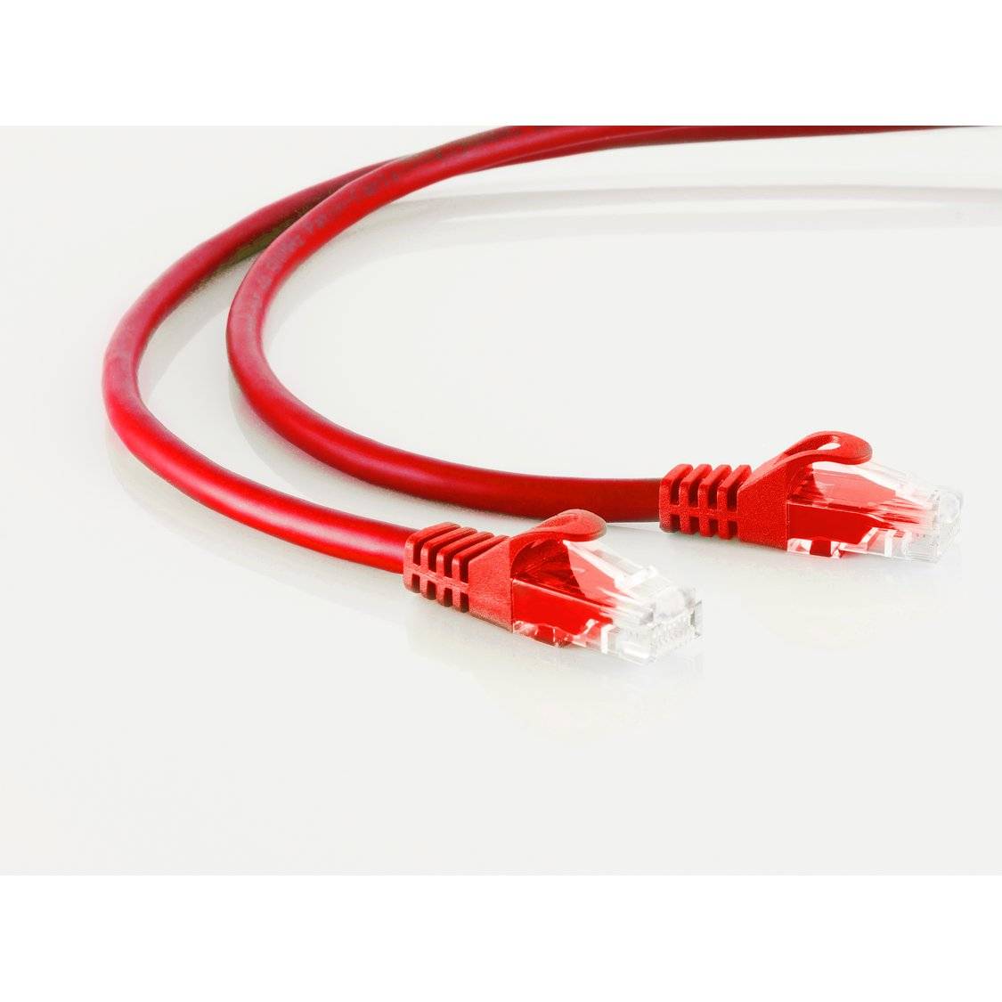 Zwei rote Ethernet-Kabel mit transparenten Steckern sind auf einer weißen Oberfläche aufgewickelt und deuten auf Netzwerkverbindung oder digitale Kommunikation hin.