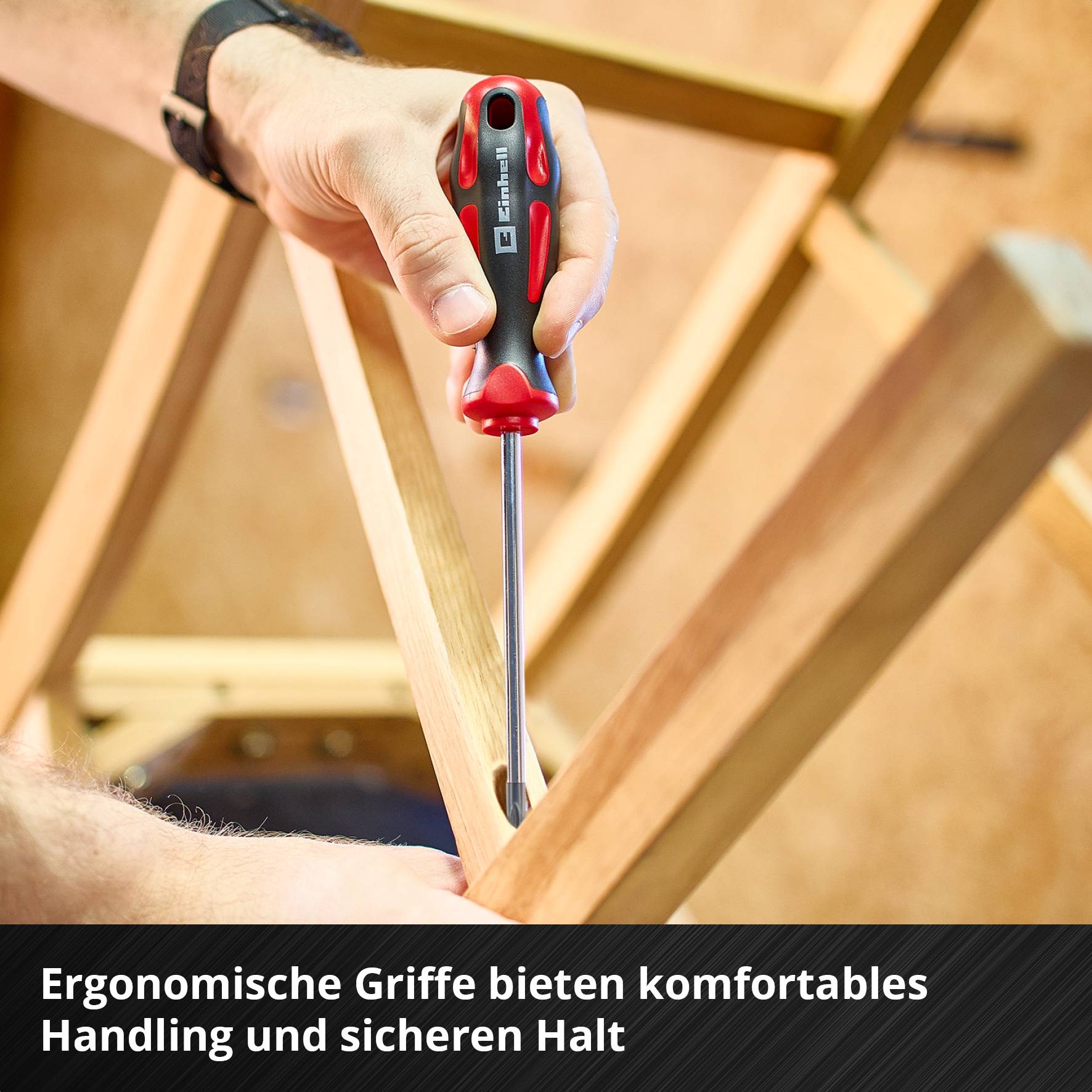 EINHELL Schraubendreher-Set PH, 370536, 5-teilig
