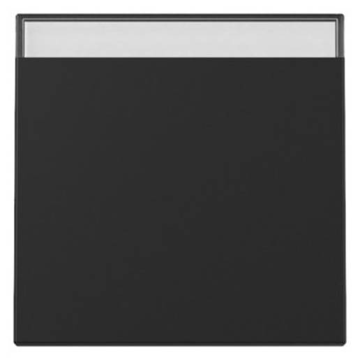 1St. Gira 3299005 Wippe BSF System 55 schwarz matt