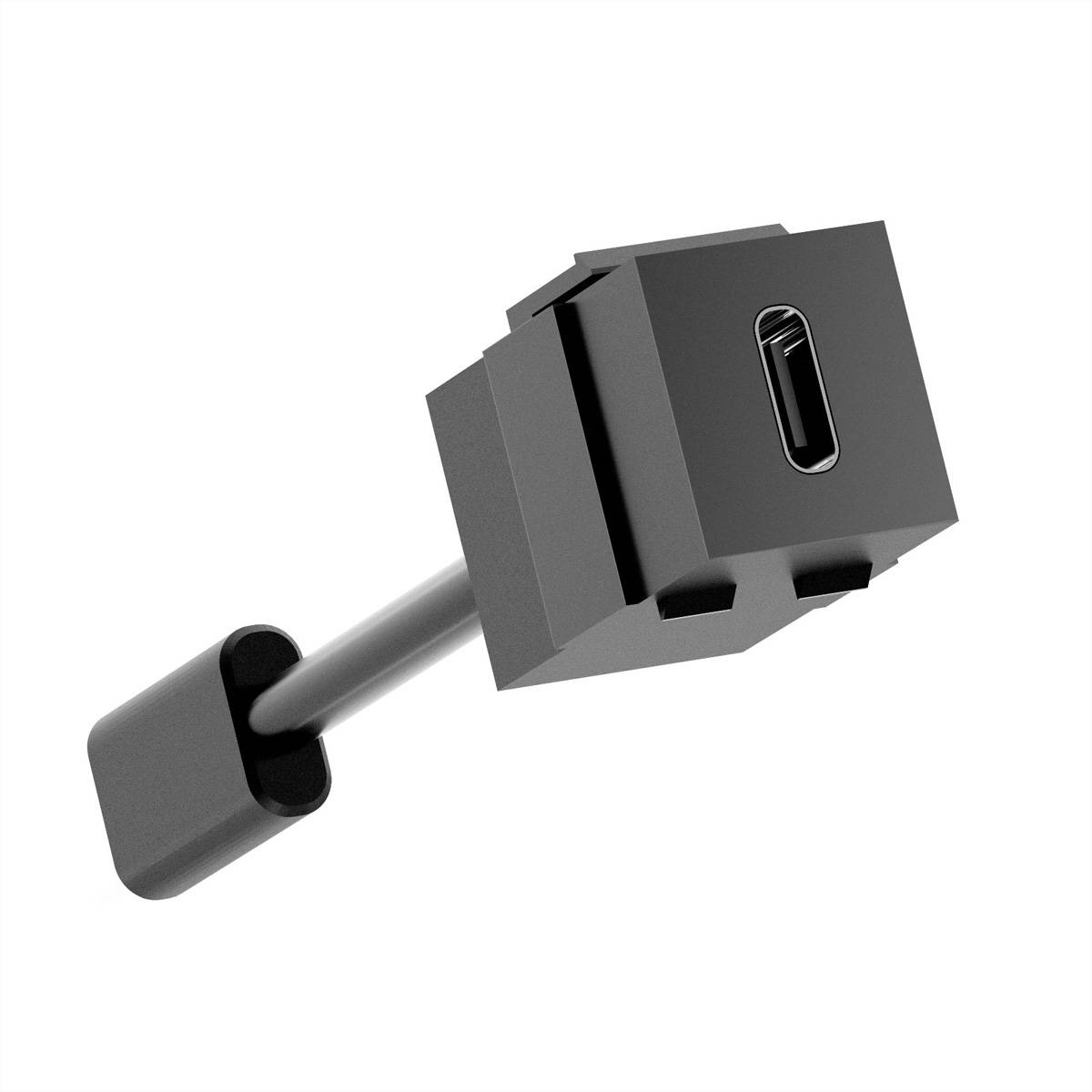 Bachmann USB C/C Keystone Modul 3.2 BM0022463