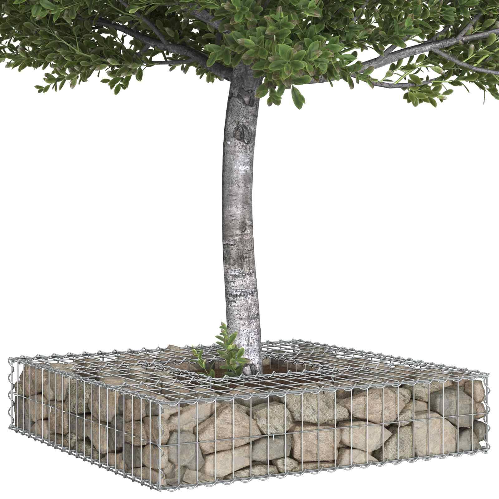 Ein Baum wächst aus dem Zentrum eines quadratischen Metallkäfigs, der mit Steinen gefüllt ist und die Basis stabilisiert. Das System verhindert Bodenerosion.