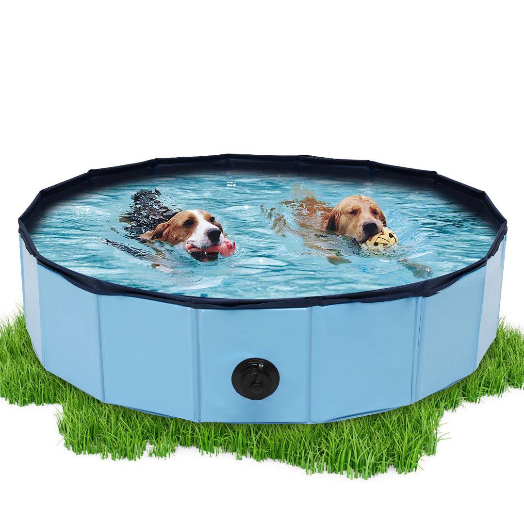Hundepool faltbar 80x20 cm, Hunde Planschbecken & Badewanne, Swimmingpool für Hunde & Haustiere