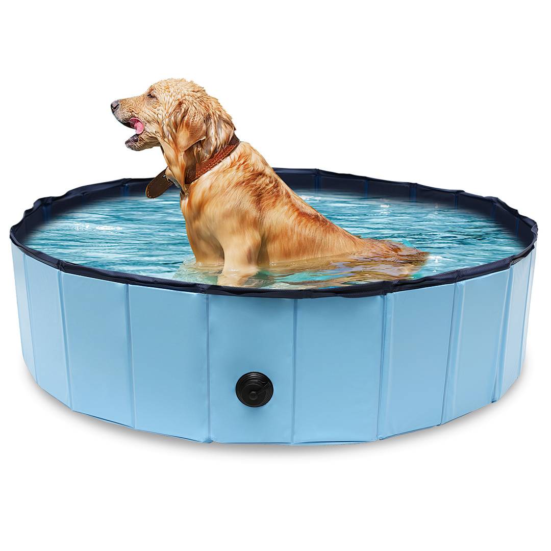 Hundepool faltbar 120x30 cm, Hunde Planschbecken & Badewanne, Swimmingpool für Hunde & Haustiere