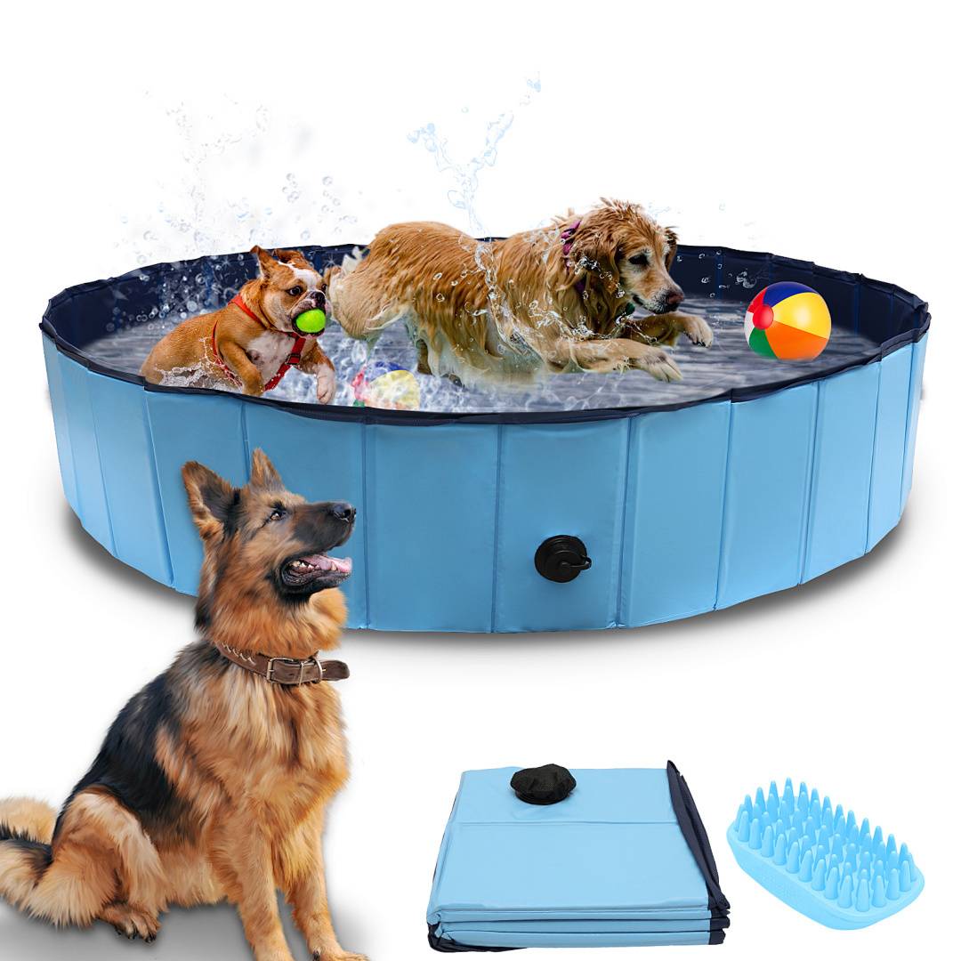 Hundepool faltbar 160x30 cm, Hunde Planschbecken & Badewanne, Swimmingpool für Hunde & Haustiere