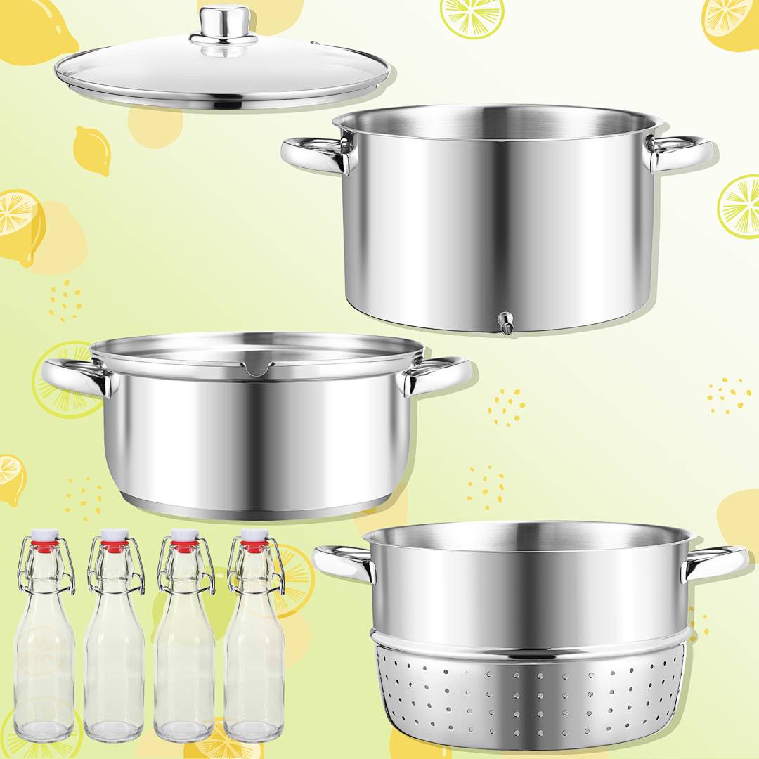 Dampfentsafter 8 L aus Edelstahl inkl. 4 Bügelflaschen – Entsafter für Obst & Gemüse, Ø 26 cm, spülmaschinengeeignet, für alle Herdarten inkl.