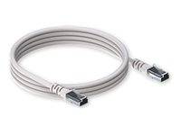 Ein weißes Ethernet-Kabel, ordentlich aufgerollt mit RJ45-Steckern an beiden Enden.